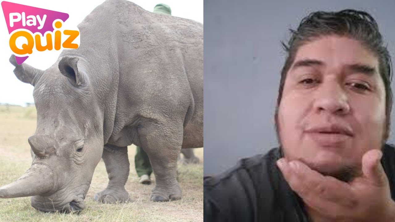 RENEGUL REACCIONA A ADIVINA 100 ANIMALES EN 2 SEGUNDOS PLAYQUIZ