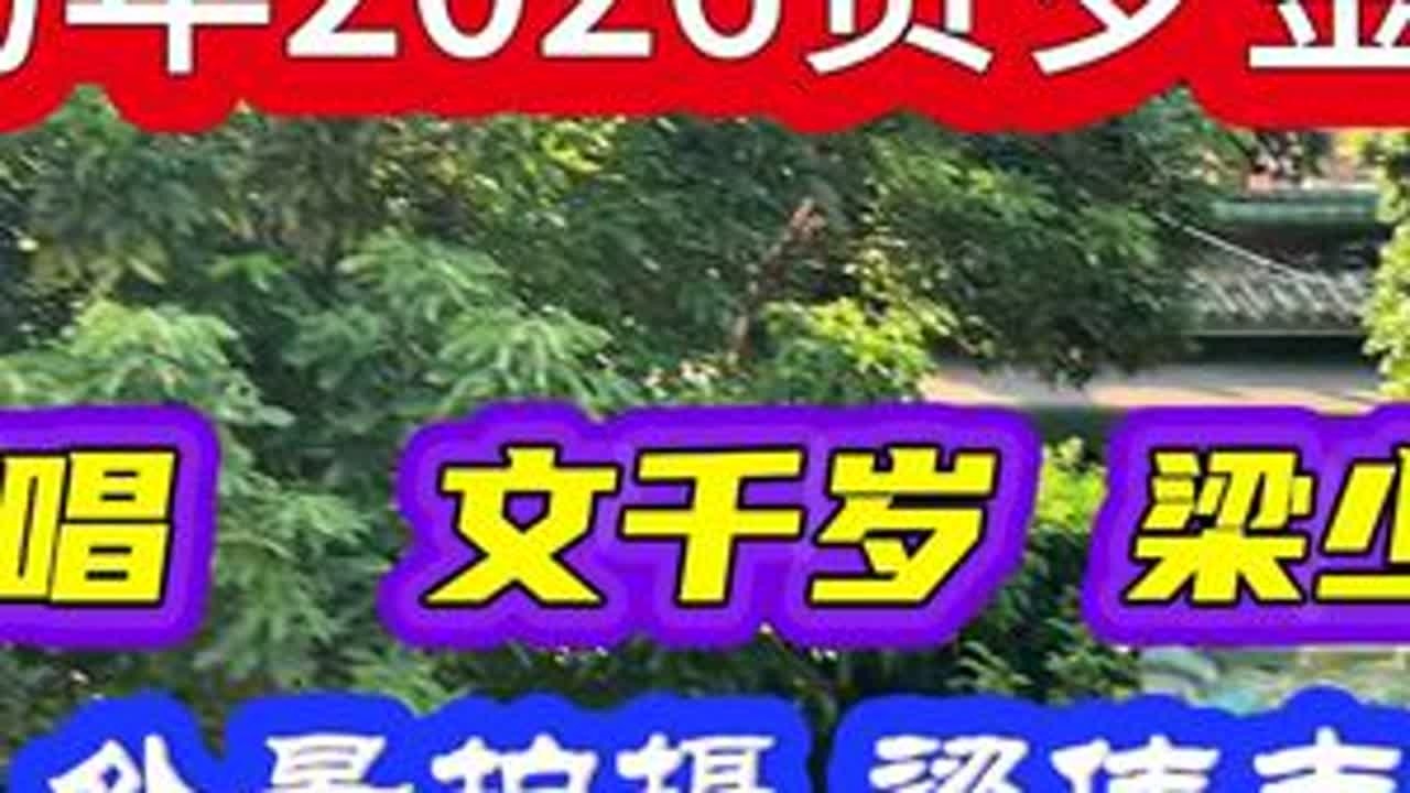 马年2026贺年歌，文千岁、梁少芯演唱，祝各位马年发财、好运