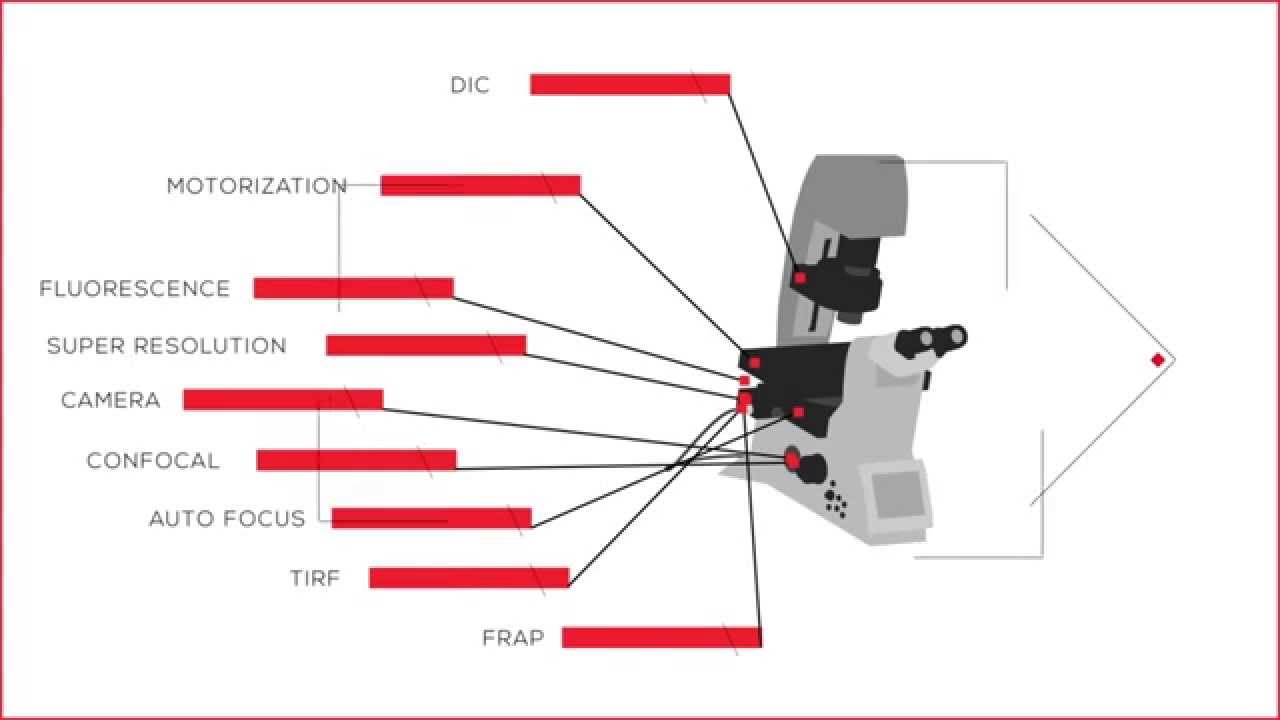 The Leica DMi8: Modularity