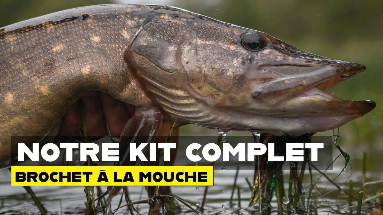 Kit pr&ecirc;t &agrave; p&ecirc;cher pour la p&ecirc;che du brochet &agrave; la mouche