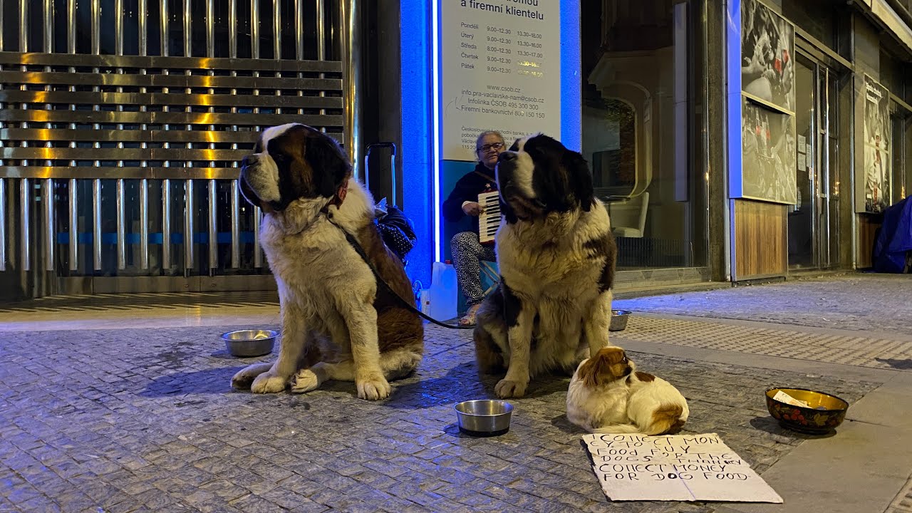 Prague - Czech Republic 🇨🇿