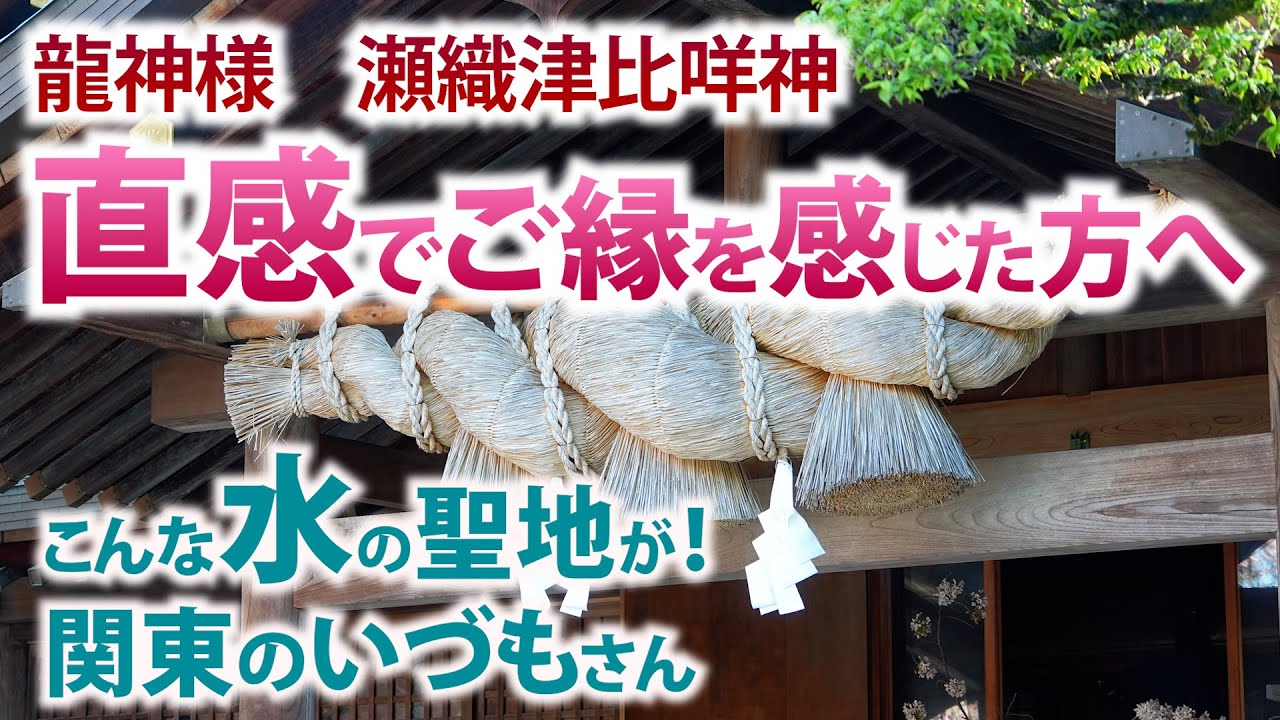 出雲大社のパワーを関東で授かる いま注目の神社へ