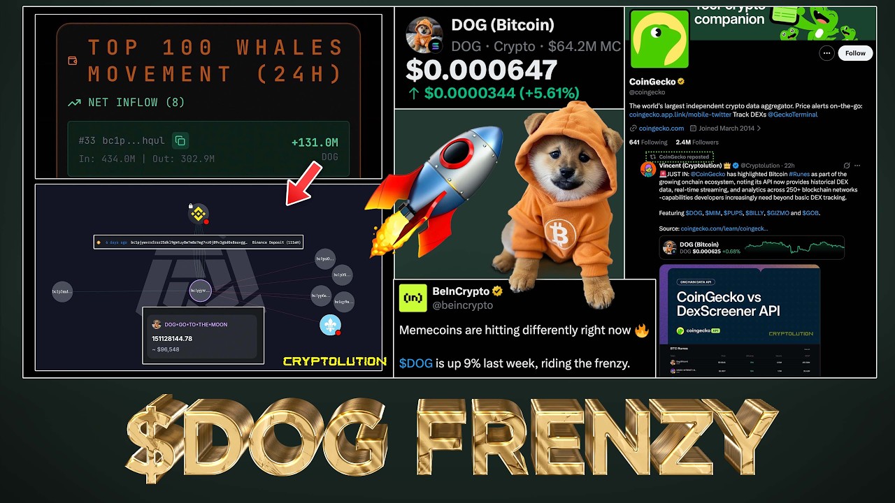 $DOG Buying Frenzy Happening On-Chain 🔥💸