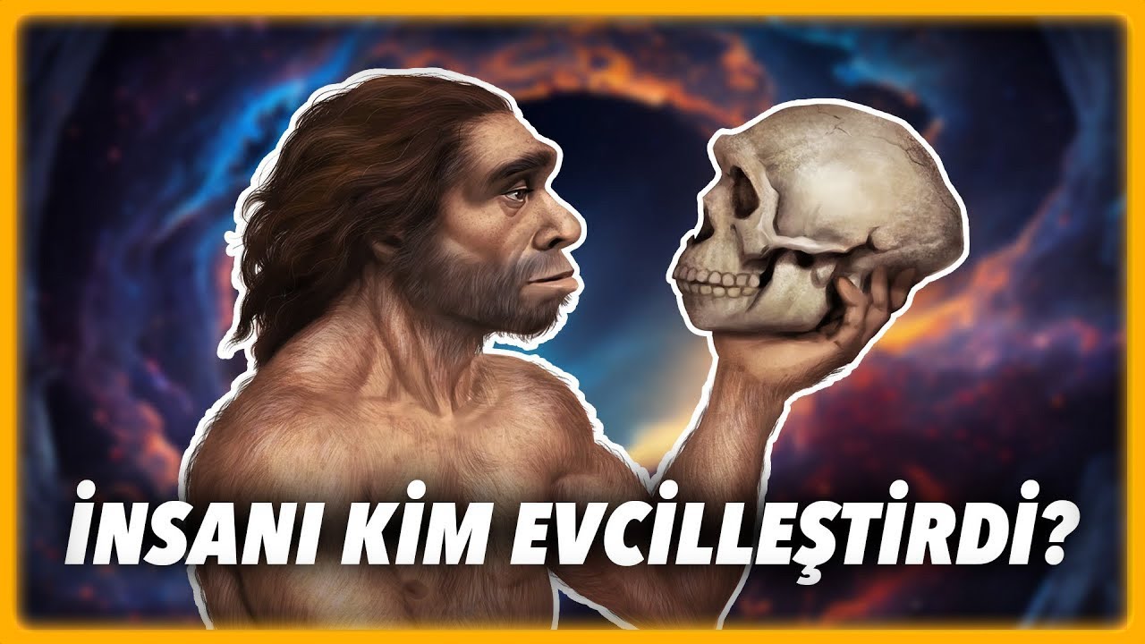 Evcilleştirebilen Tek Tür İnsan Değil!