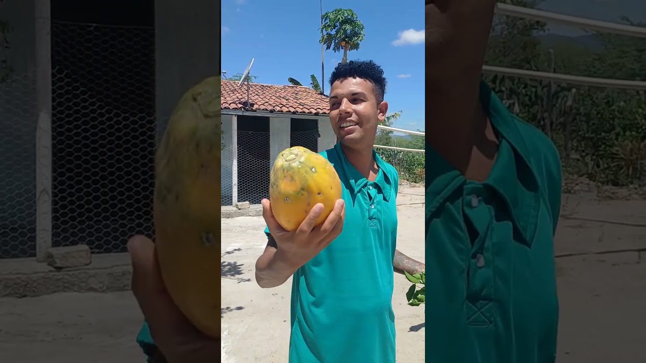 Olá 👋 Pessoal estamos aqui na Casa dos nós amigos Nando e Noula. na Chácara no quiser 