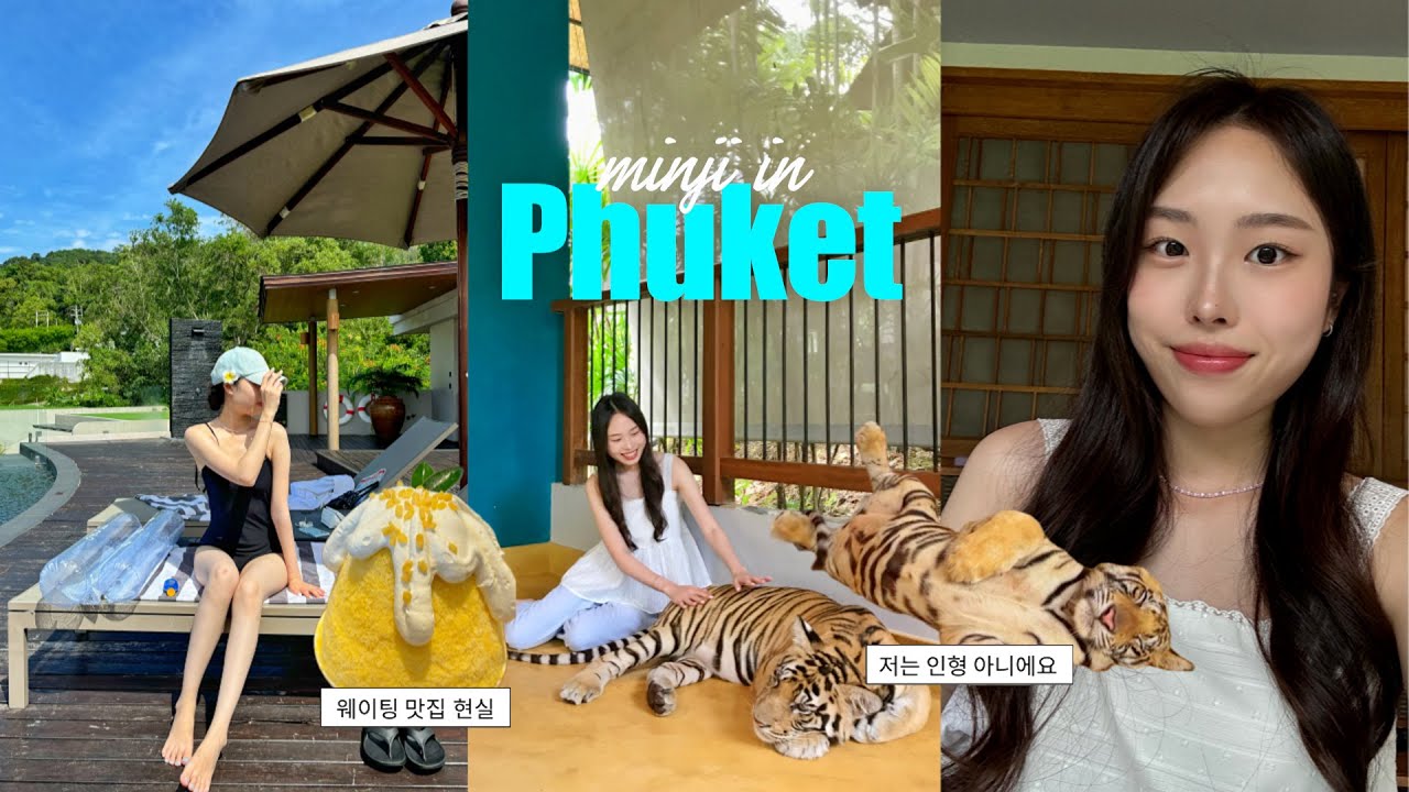 🇹🇭 태국에서 일주일 ep.3 | 애기 호랑이🐯타이거파크 | 웨이팅 맛집 현실? 푸켓에서 노는 법