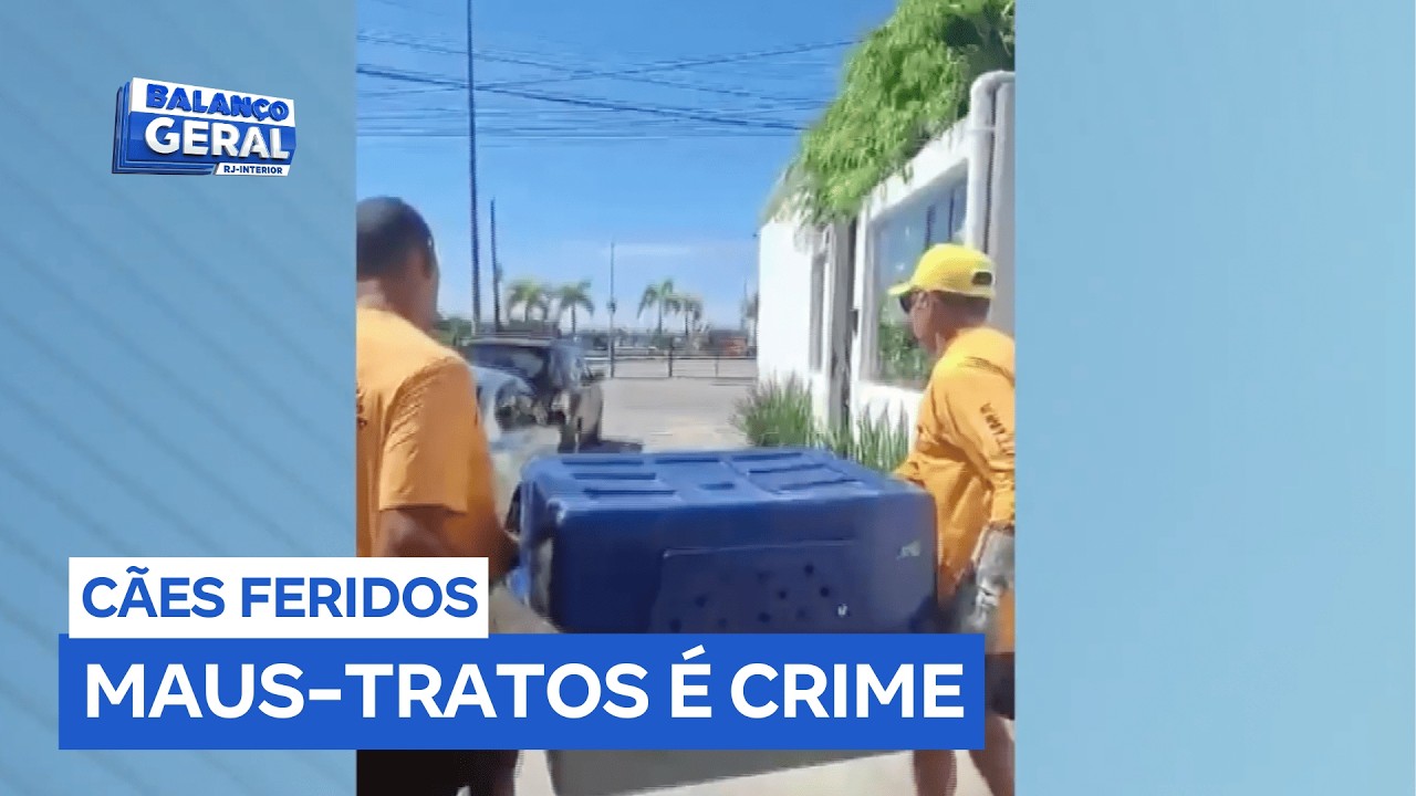 Resgate de cães feridos mobiliza órgãos em Cabo Frio (RJ)
