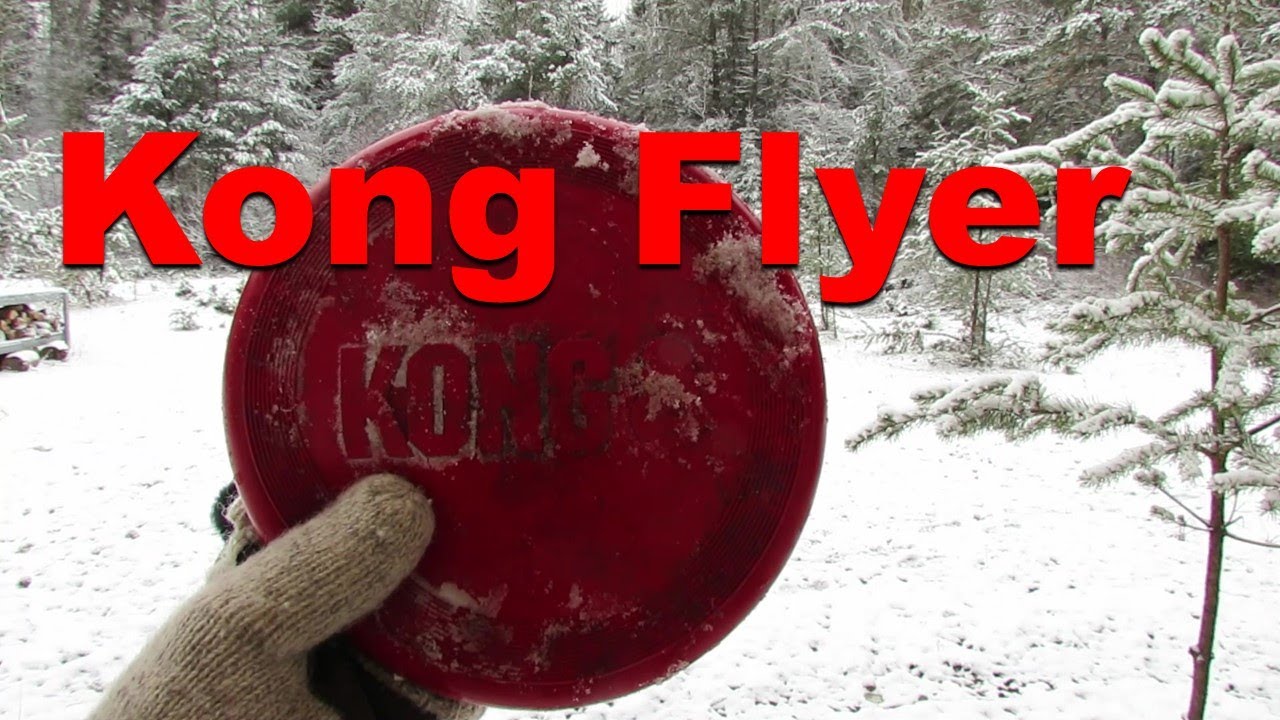 Kong Flyer Dog Frisbee