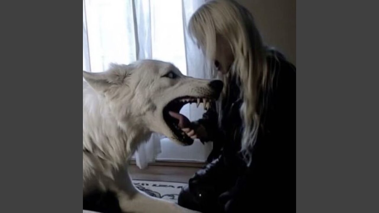 dogbite