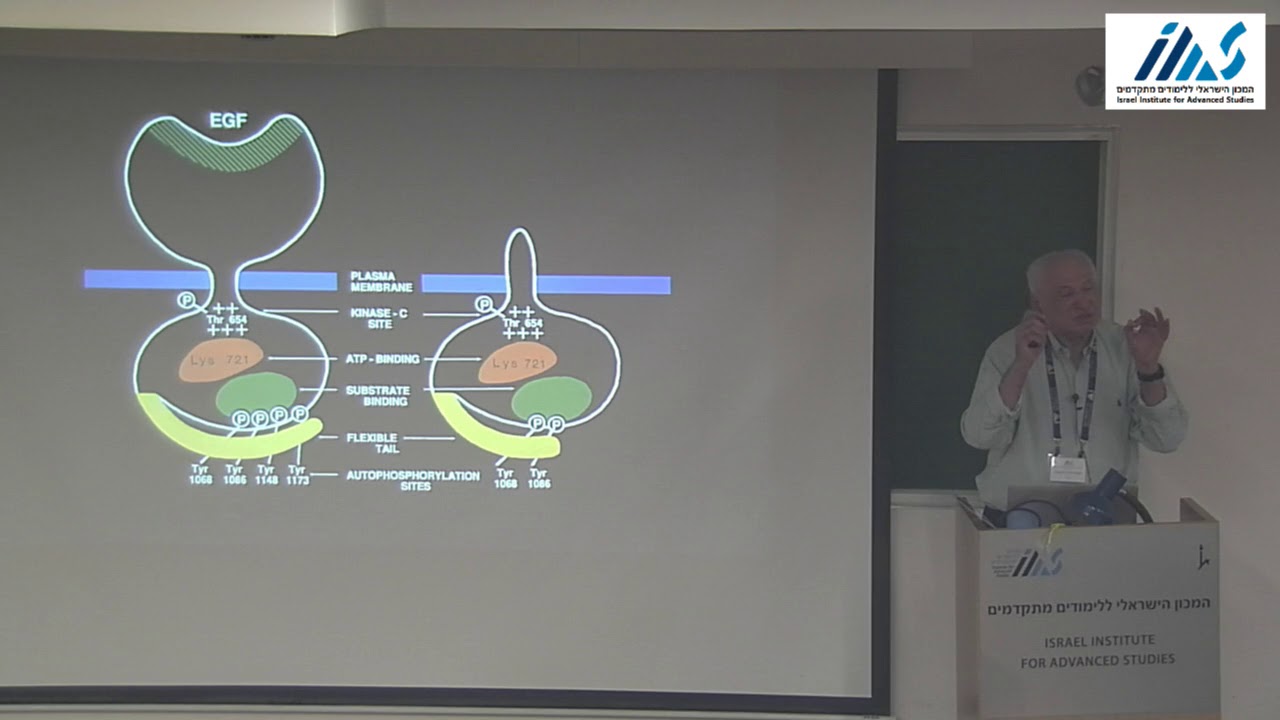 Joseph Schlessinger - Cell Signaling By Receptor Tyrosine Kinases: From Basic..