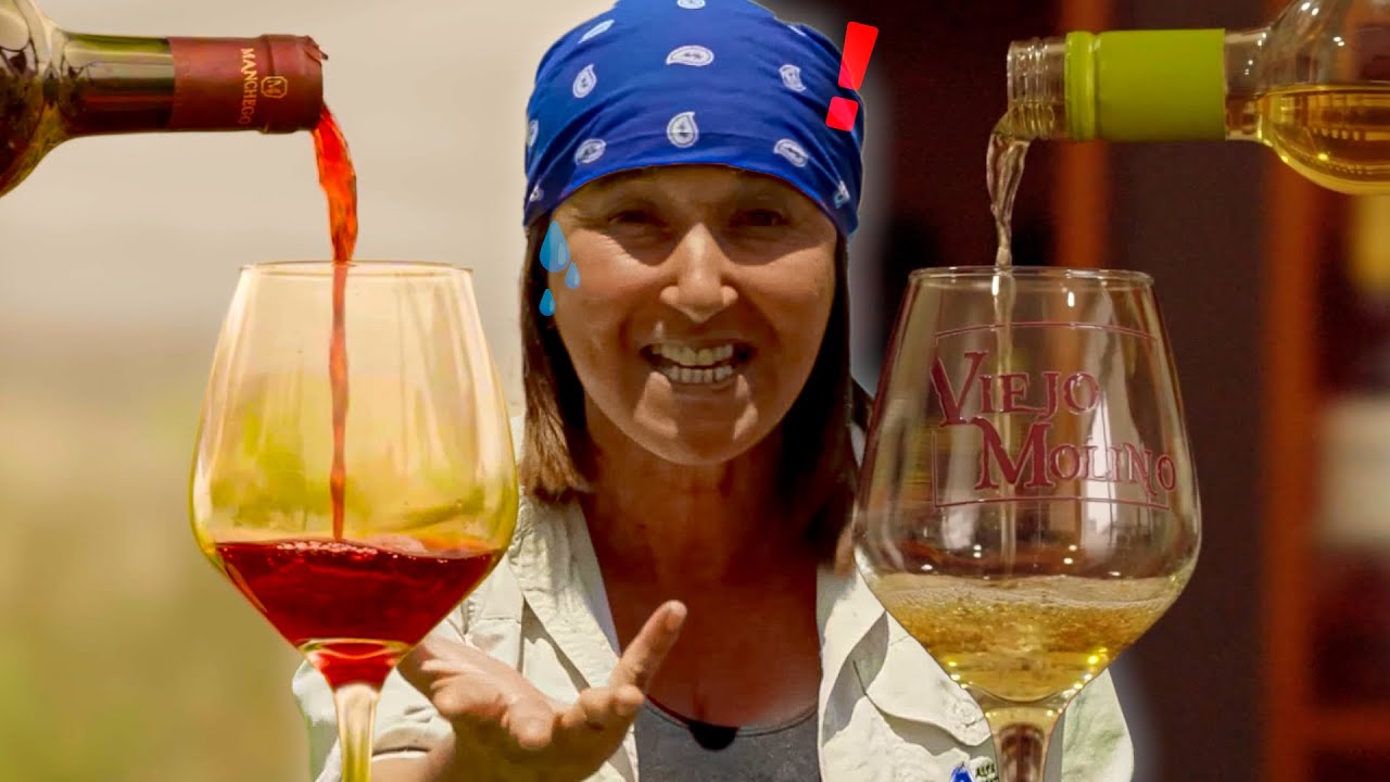 ¿EL MEJOR VINO DEL PAÍS SE HACE EN SAN ANTONIO?🍷🤔