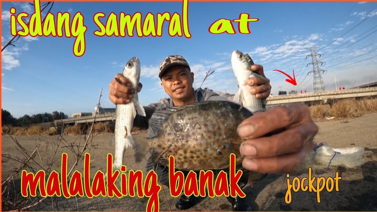 BIBIHIRA  Lumalabas na din Ang ganitong isda Pangingisda lang Ang relaxing place ko