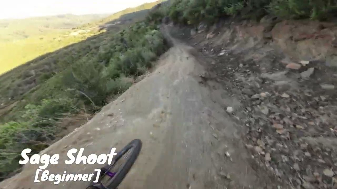 Sage Shoot