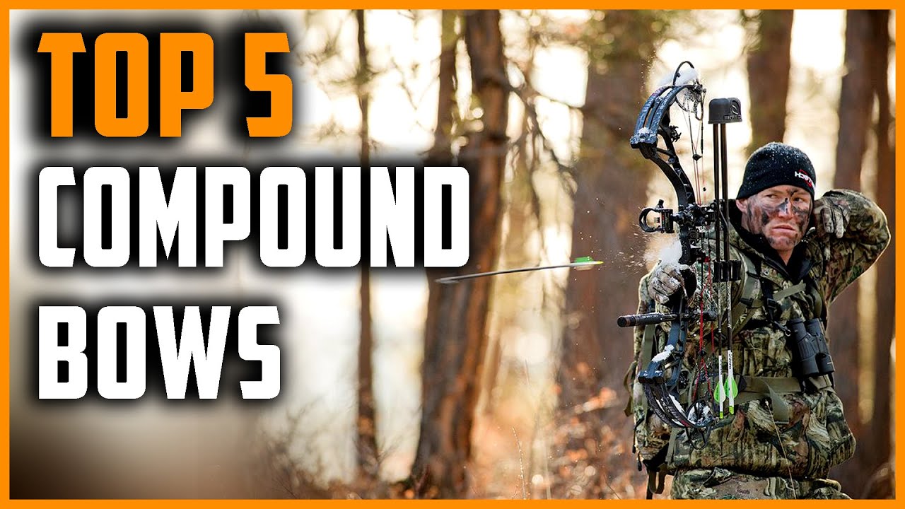 Best Compound Bows 2023 | Top 5 Compound Bows for Beginners