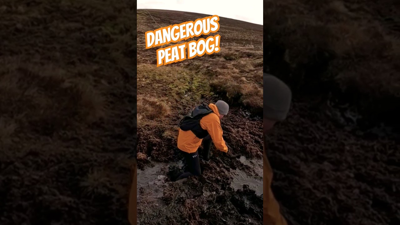 Опасное торфяное болото #торфяноеболото #опасный #бегпотрейлам #бегполесью #приключение