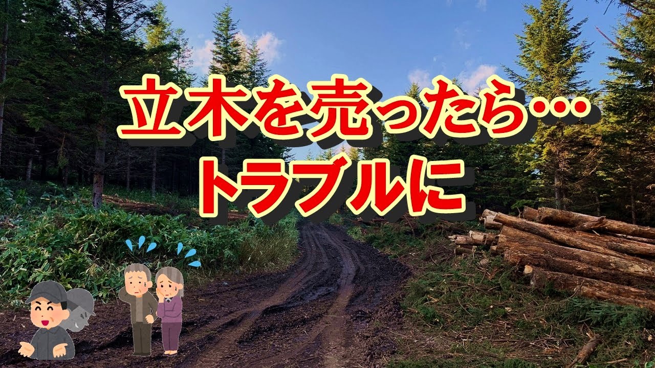 こんな買手に立木を売ってはいけない。伐採後のトラブル、後悔、山林所有者はご注意を。