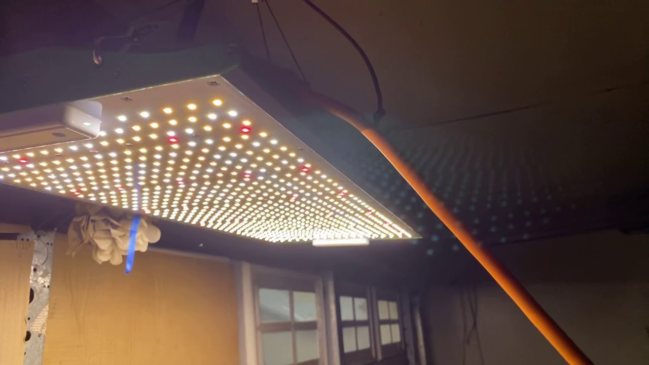VIPARSPECTRA Newest Pro Series P2500 LED