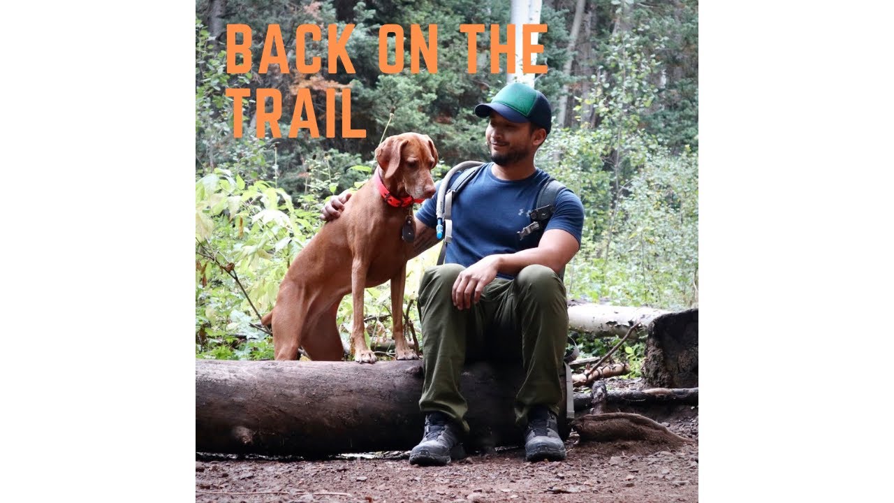 Annual Hike to 