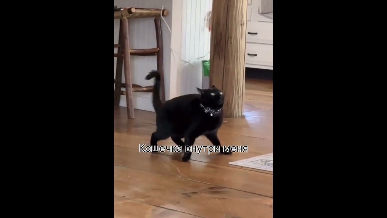 Кошечки, тут?? 