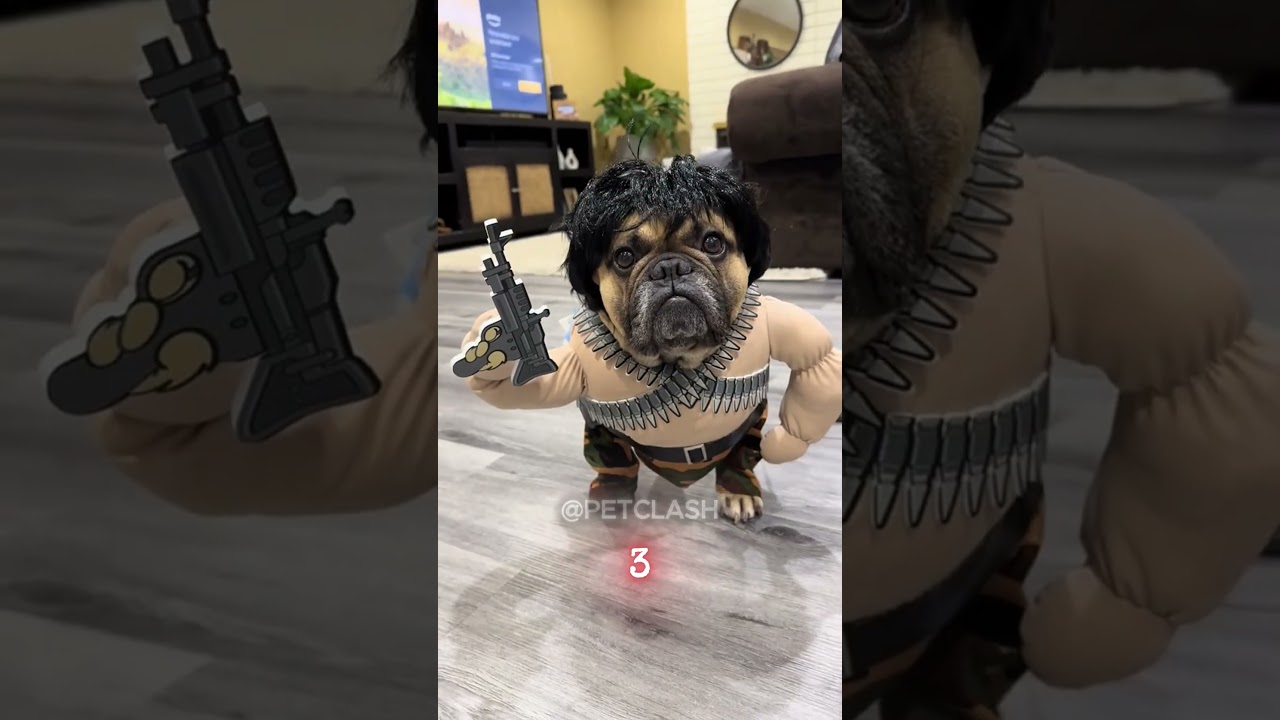 These Dog Outfits Are Absolutely Hilarious 