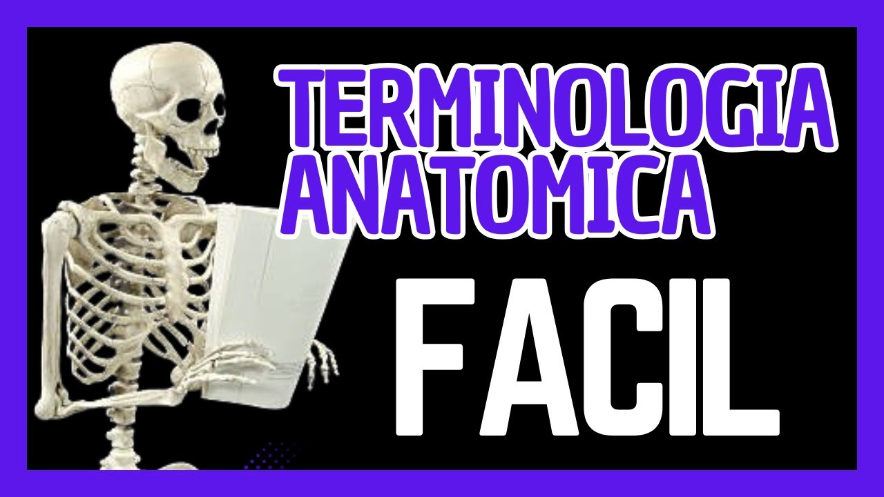 💀📚Términos ANATÓMICOS de posicion direccion y movimiento 🤓