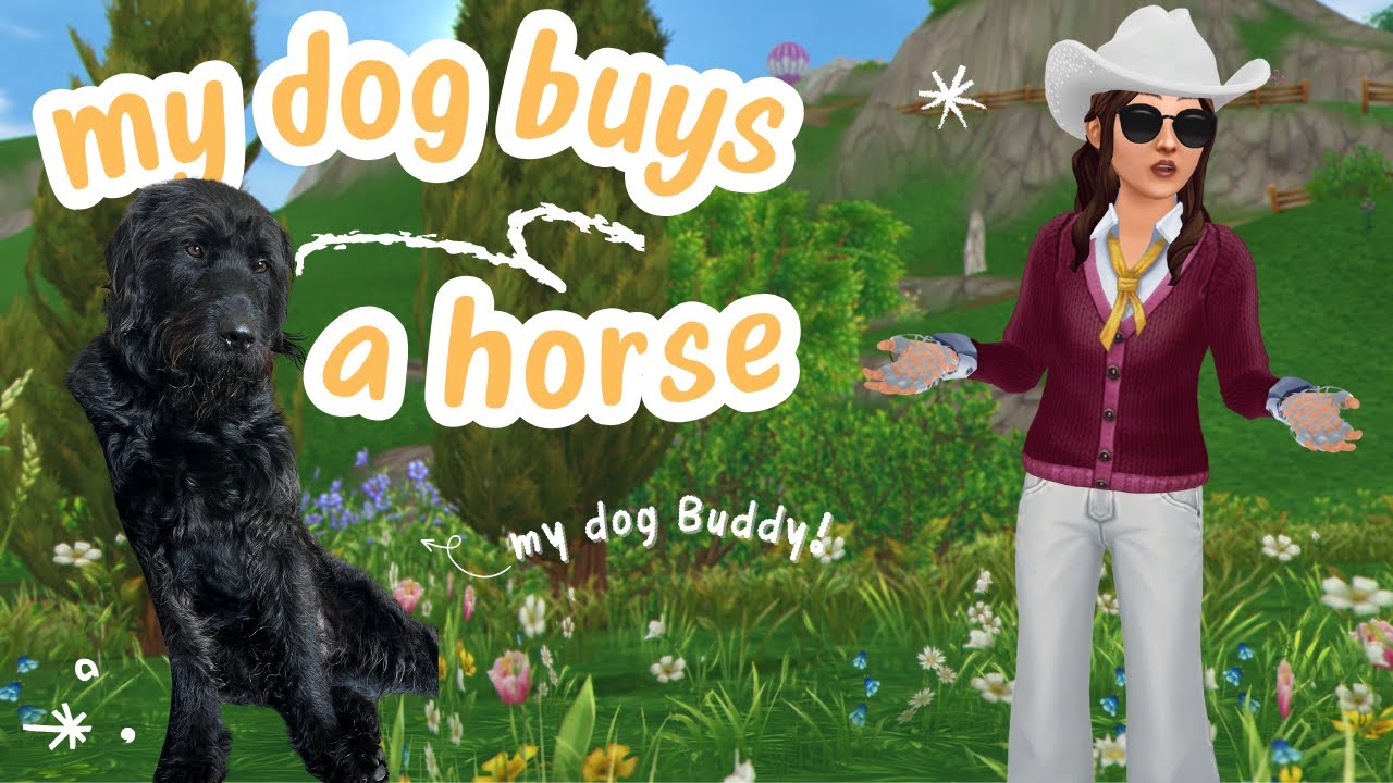 My Dog Buys a Horse For Me! 🐶 (then we fail a champ) || SSO
