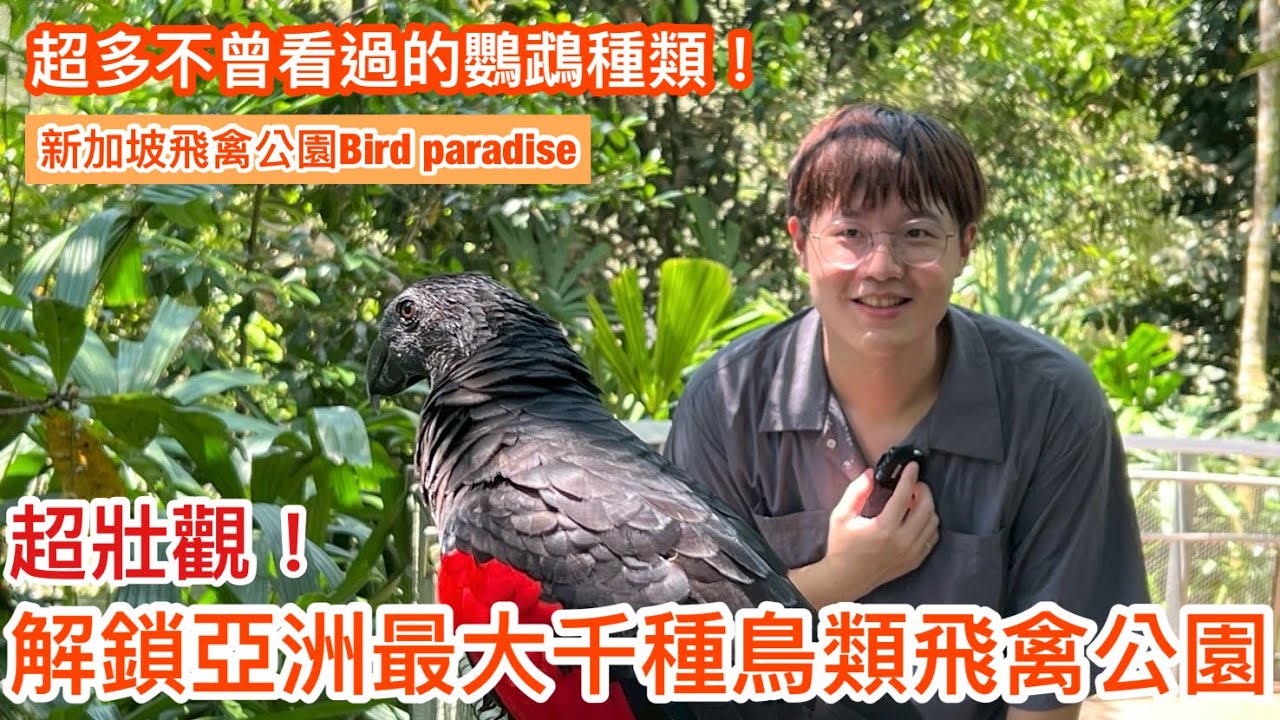 大開眼界！親眼見到吸血鬼鸚鵡？！絕美環境被上千隻鳥類包圍✨前進亞洲最大鳥園！新加坡飛禽公園Bird Paradise（上集）【鸚鵡小木屋】