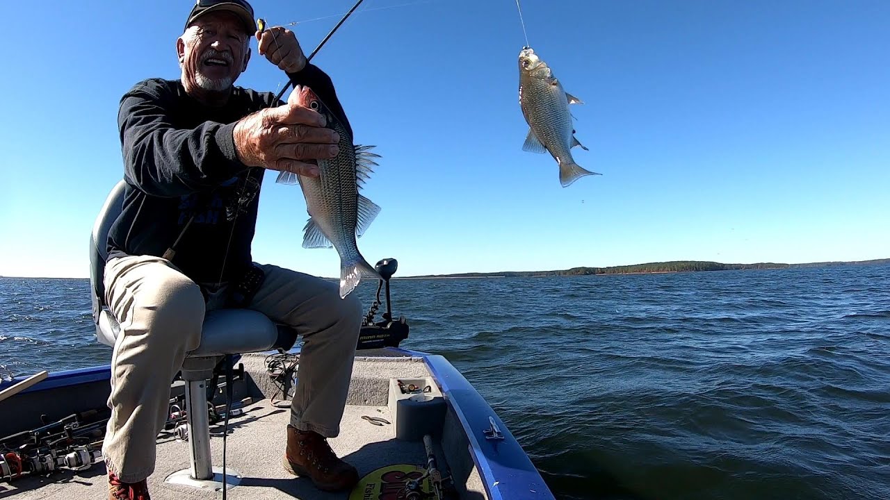 Fishing Techniques For Catching White Perch