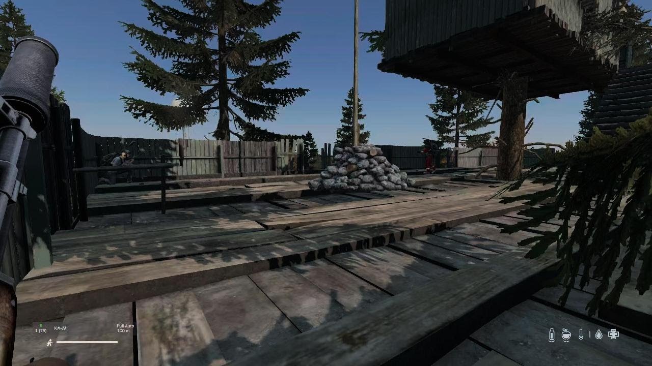 DayZ_20260227113955