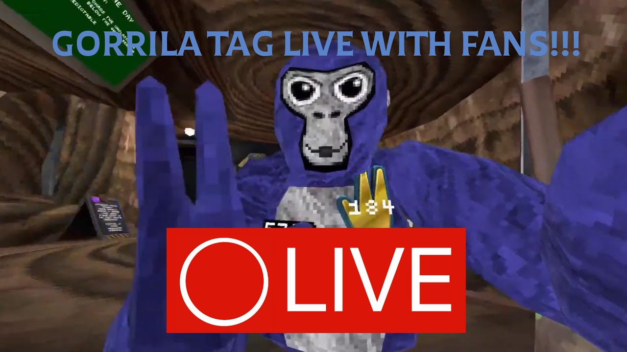 🔴GTAG LIVE WITH VIEWERS!!!
