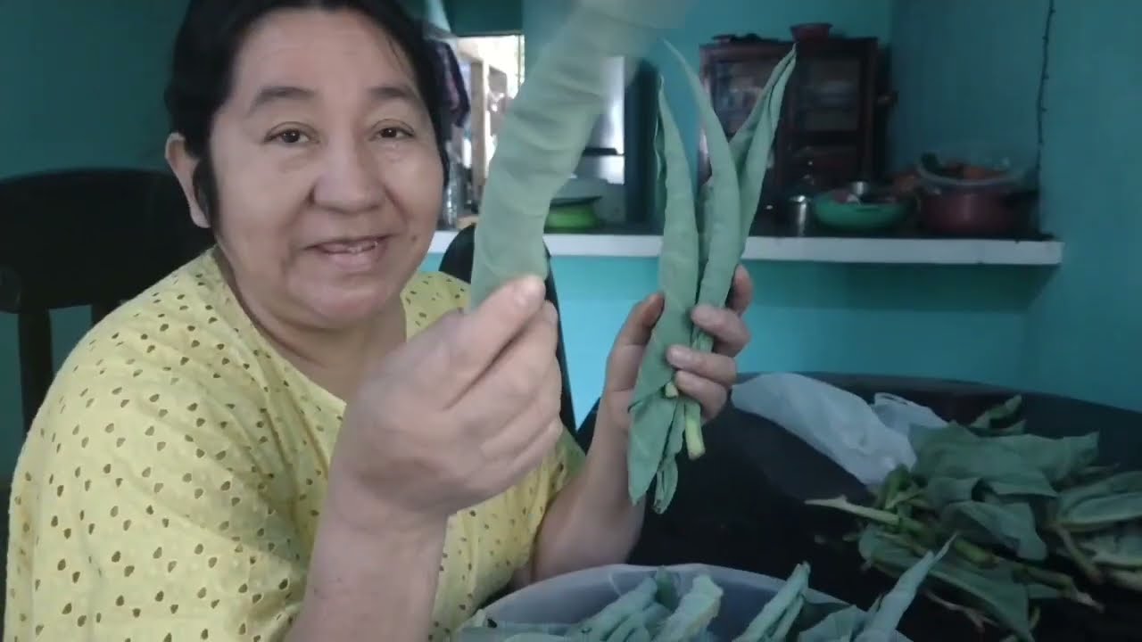 Receta hojas de MALANGA tiernas.