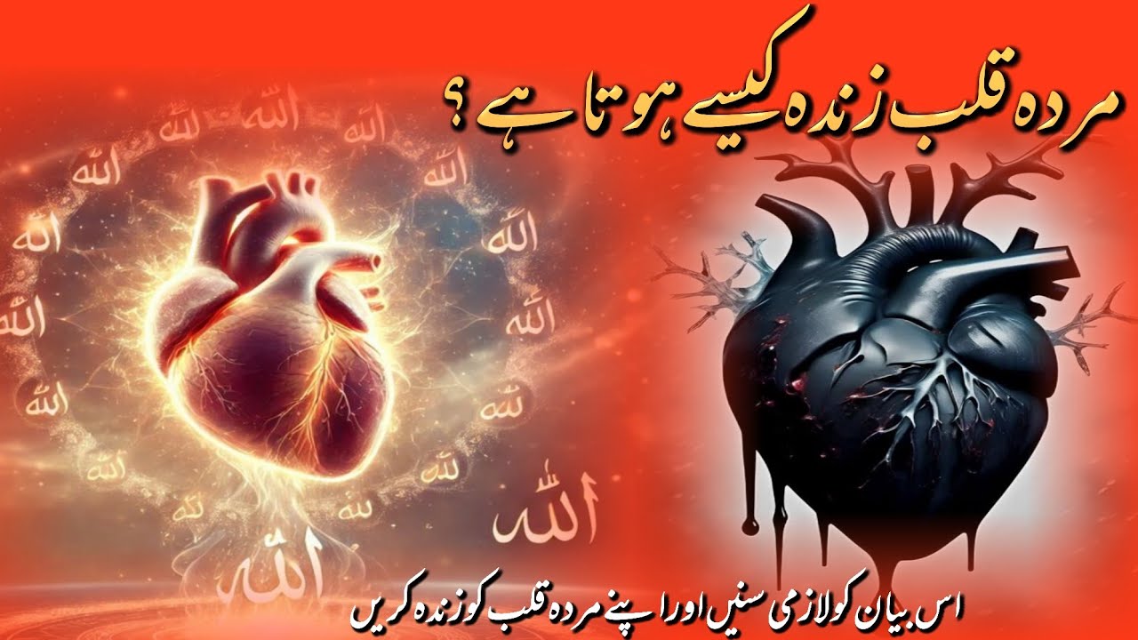 Murda Qalb Zinda kaise hota hai? مردہ قلب زندہ کیسے ہوتا ہے ؟