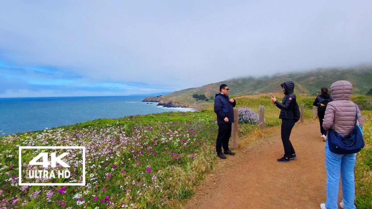Rodeo Beach Overlook Walking Tour | Bay Area Killer Hidden Gem | Exploring Nature's Beauty [4K]