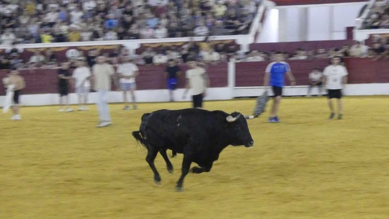 Encierro nocturno en la Plaza de Toros: Fiestas Populares Torrej&oacute;n de Ardoz 2025