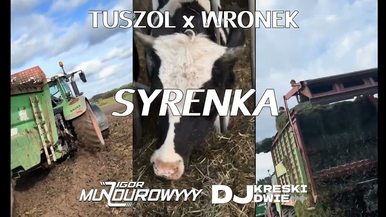 TUSZOL x WRONEK - SYRENKA (IgorMundurowyyy x DJ KRESKI DWIE Mashup)