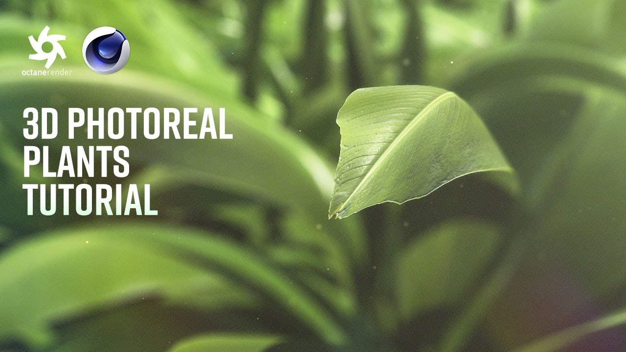 Creating Photorealistic 3D Plants in Cinema 4D & Octane Render