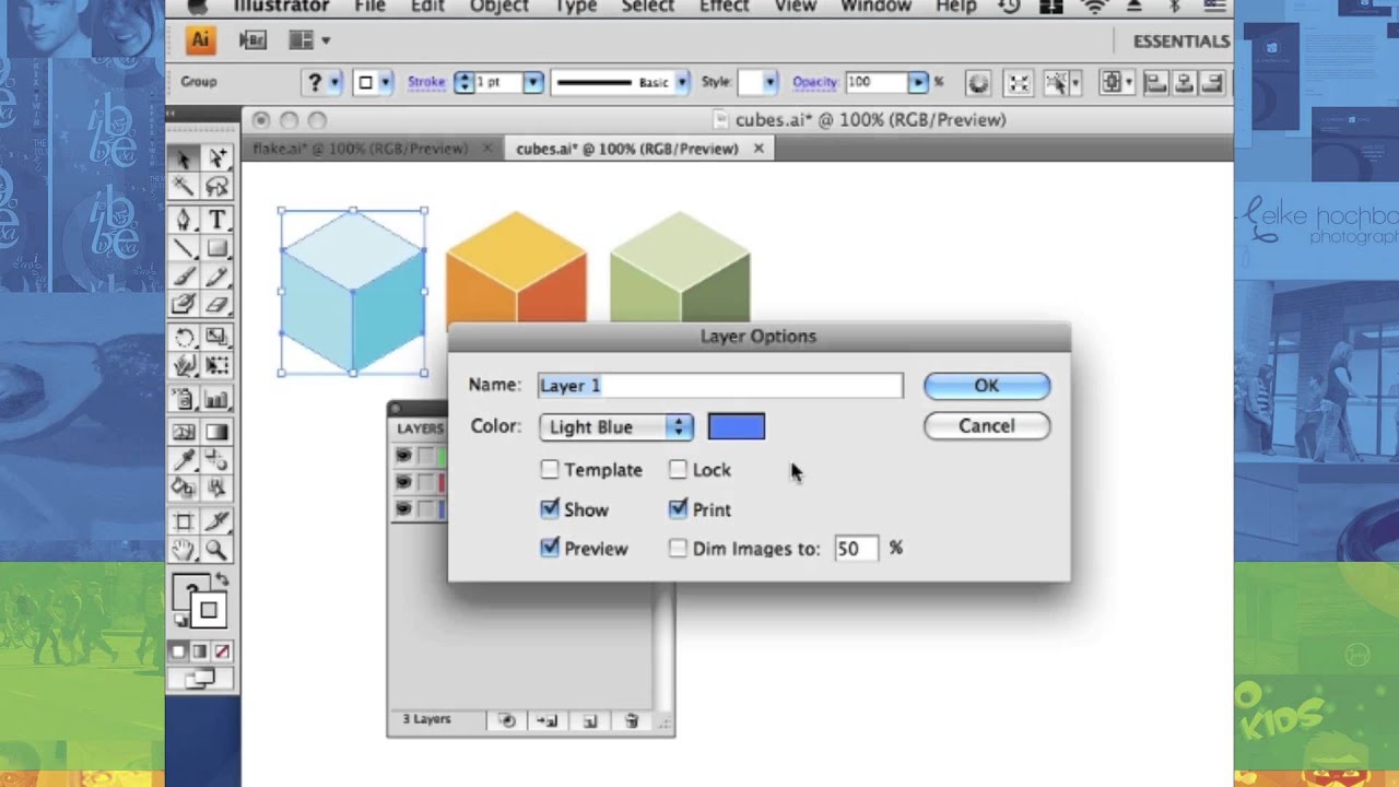 Using the Layers Palette in Illustrator