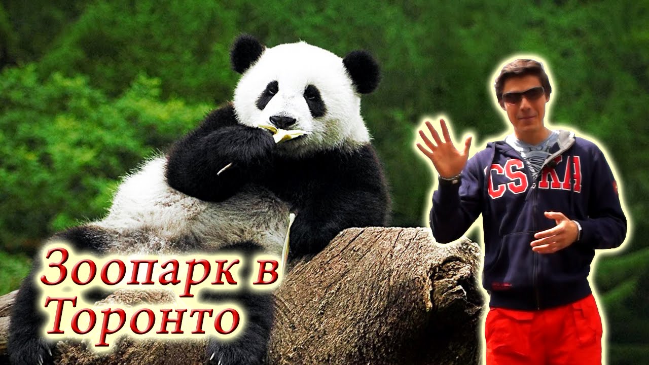 Зоопарк в Торонто - самый большой зоопарк в Канаде