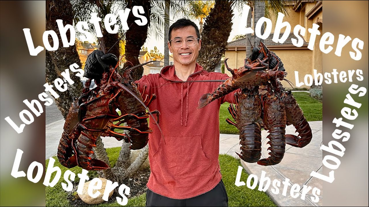 The different ways to grab your limit of 7 lobsters!!