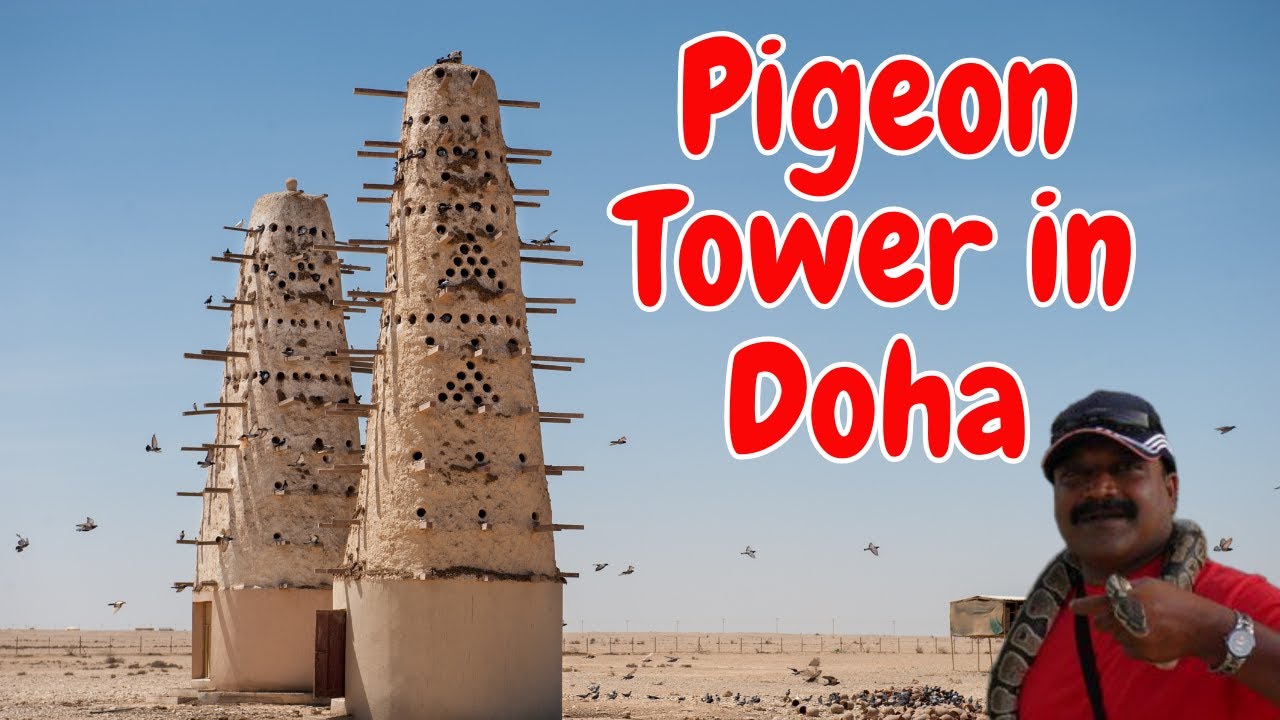 दोहा, कतर में कबूतर टॉवर, The Mesmerizing Pigeon Tower in Doha, Qatar, Trending Places to see 2022