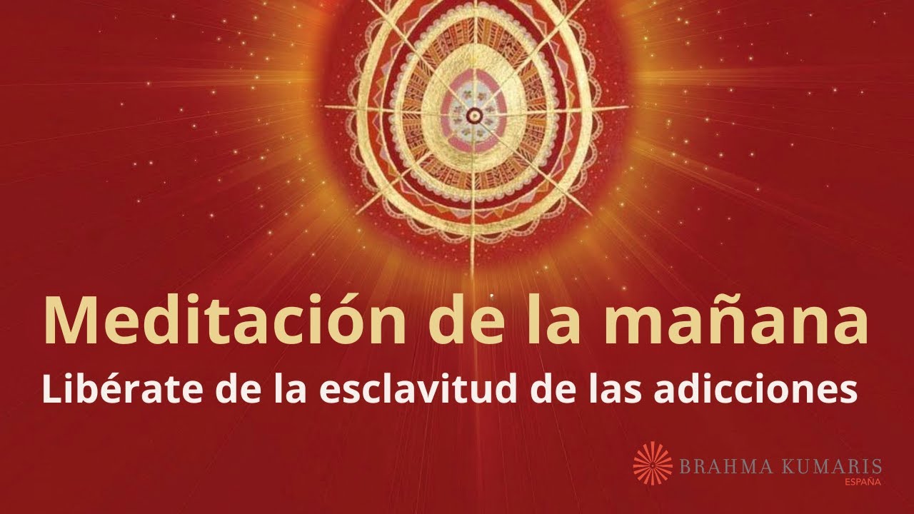 Meditación de la mañana: 