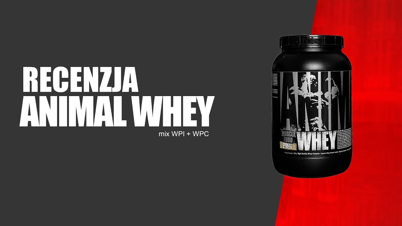 Animal Whey - recenzja izolatu i koncentratu białka serwatkowego