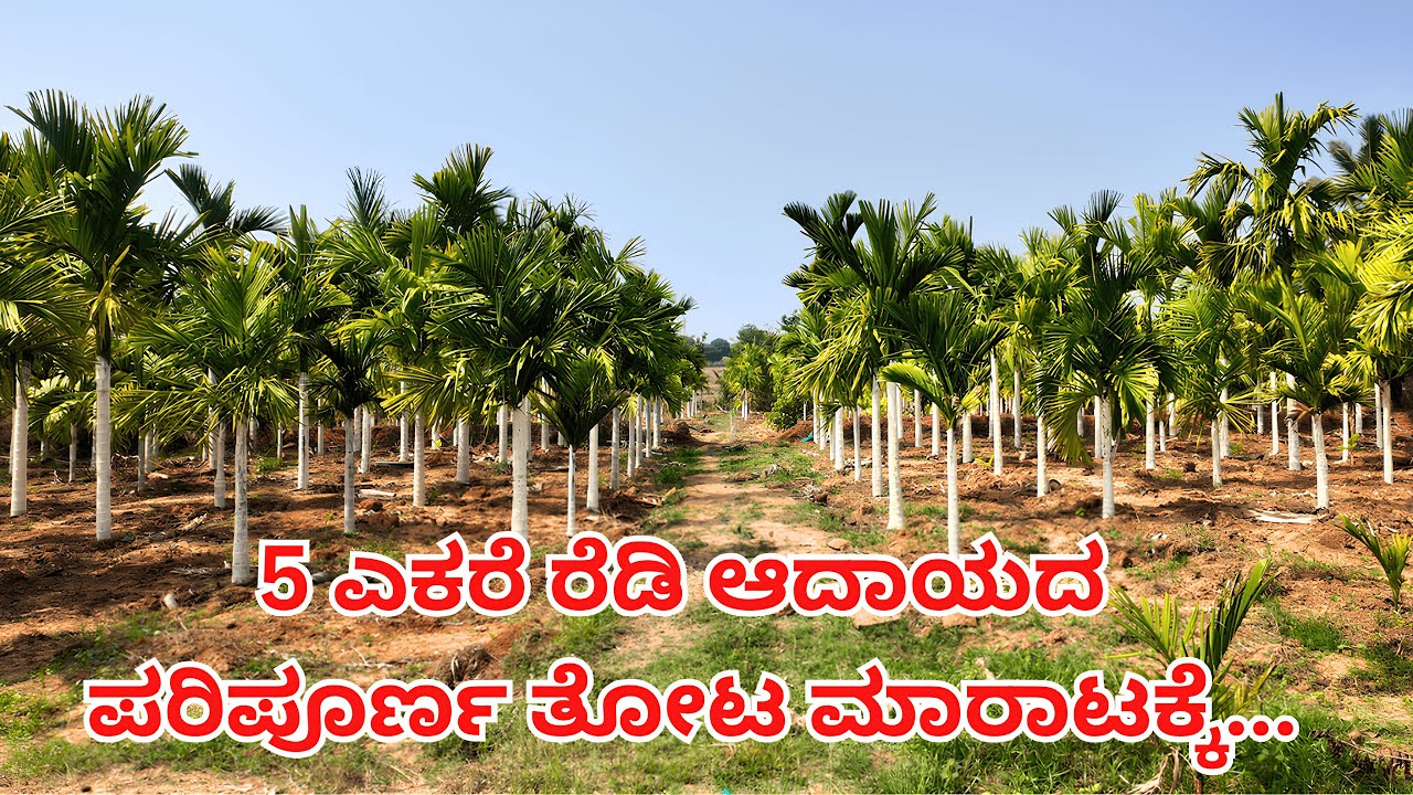 5 ಎಕರೆ ಪರಿಪೂರ್ಣ ತೋಟ for Sale | #tumkurrealtors