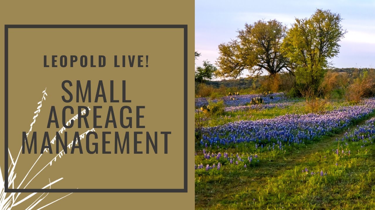 Leopold Live: Small Acreage Management