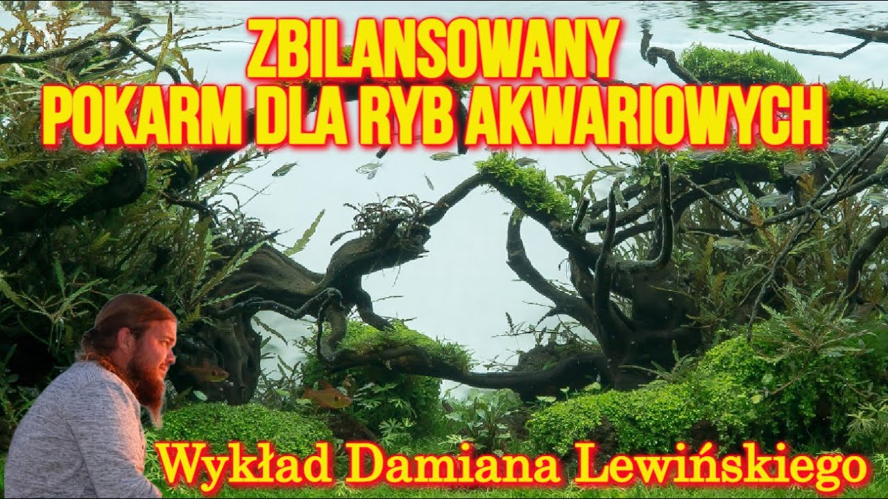 NAJLEPSZY POKARM dla Ryb Akwariowych / Wykład Damiana Lewińskiego