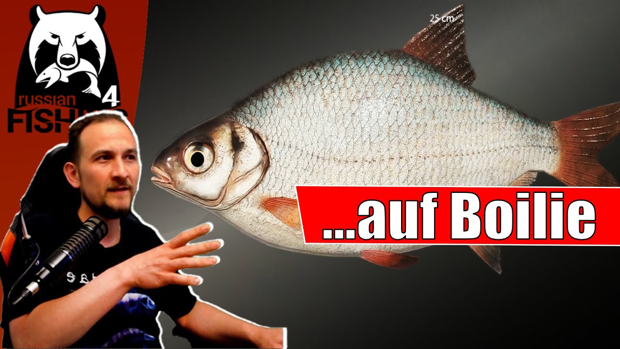 Russian Fishing 4 - Belaja - Wo ist die Güster!?