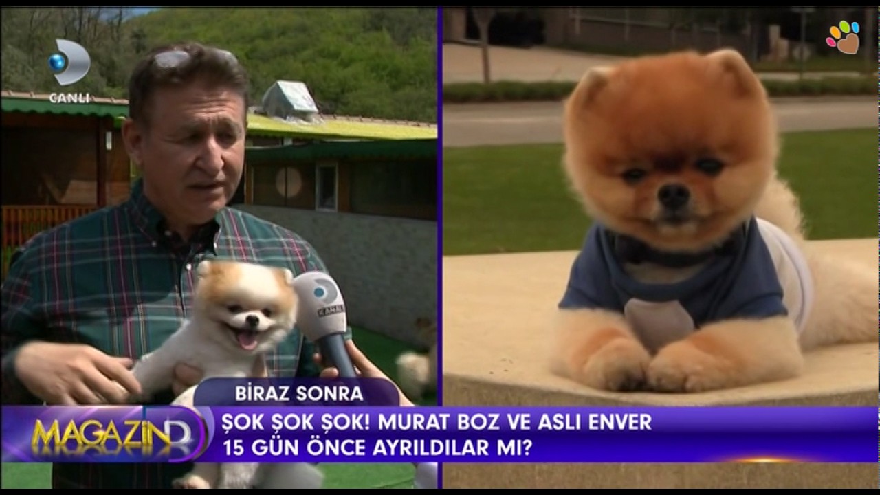 Elit yavrularımız Kanal D'de yayınlanan Magazin D programına katıldı