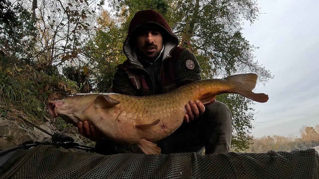Il ritorno con il botto 💣 Urban Carpfishing!!