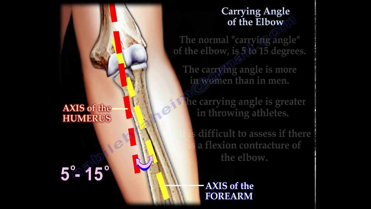 Carrying Angle Of The Elbow - Everything You Need To Know - Dr. Nabil Ebraheim
