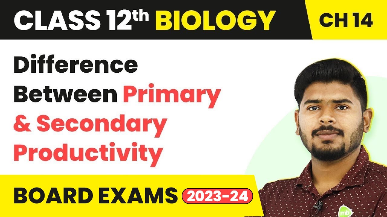 Difference Between Primary & Secondary Productivity - Ecosystem | Class 12 Biology Ch14 NCERT/NEET